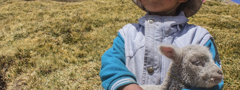 NBA新星专题报道配图 - 年轻球员在比赛中扣篮的瞬间